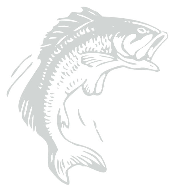 bass-fish-gray fish graphic