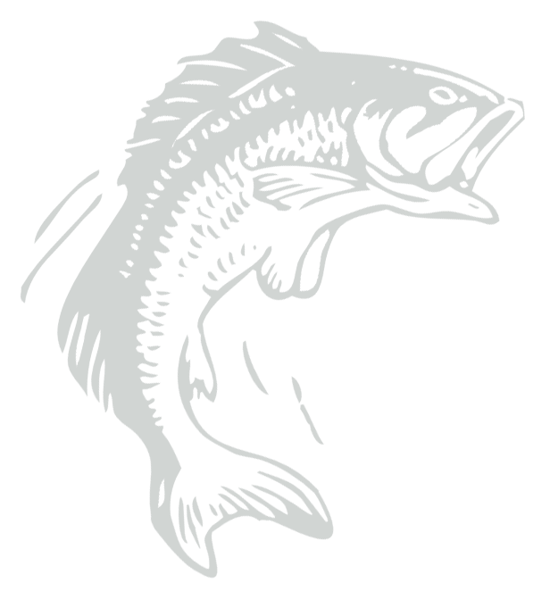 fish graphic