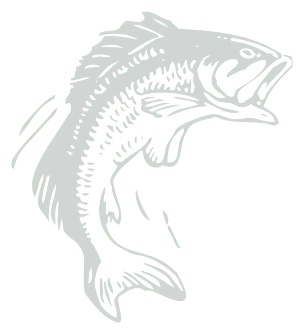 bass-fish-gray fish graphic