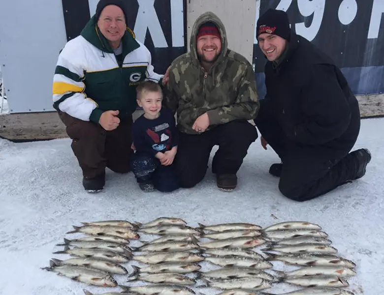 white fish ice fishing guide strurgon bay