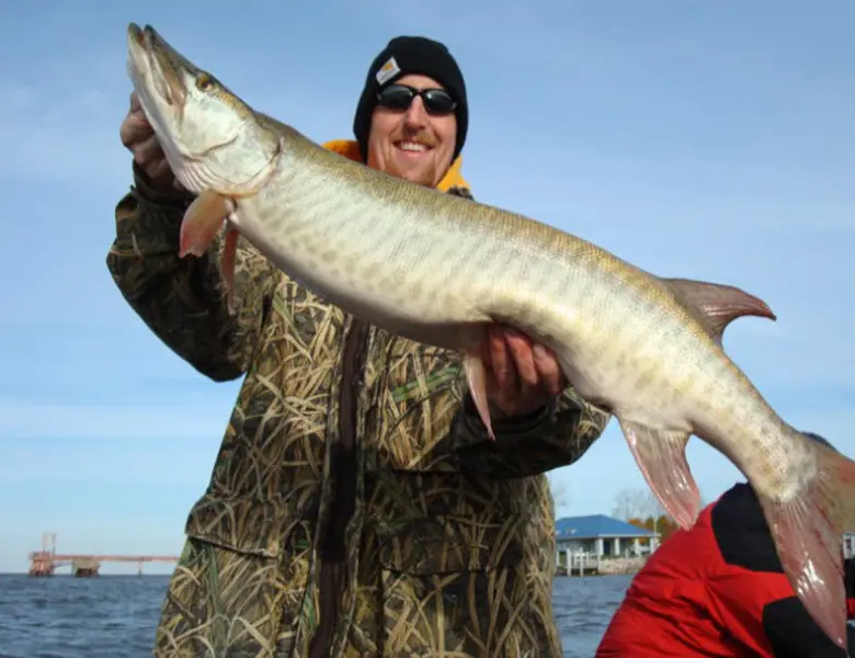 guide service for muskys green bay wi