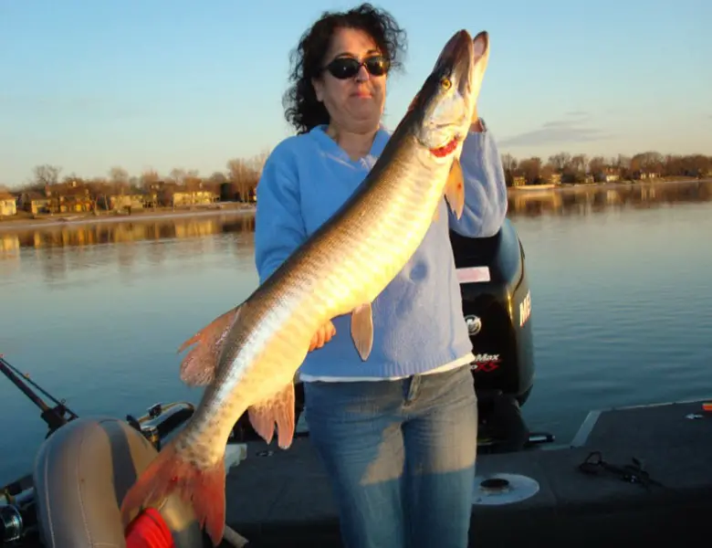 muskie guide in green bay