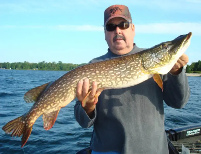muskie fishing guide green bay