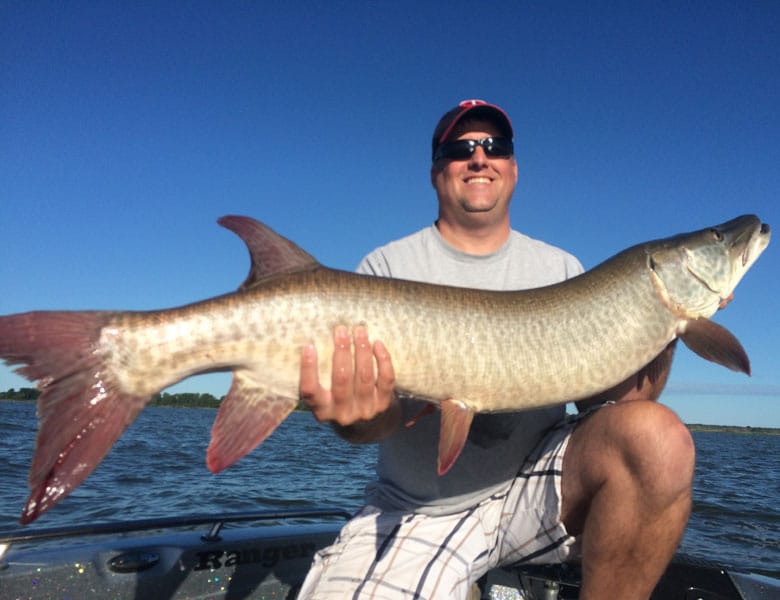 large musky caught in green bay