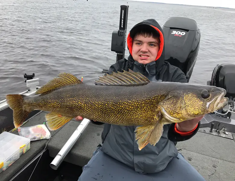 walleye caught in green bay wi