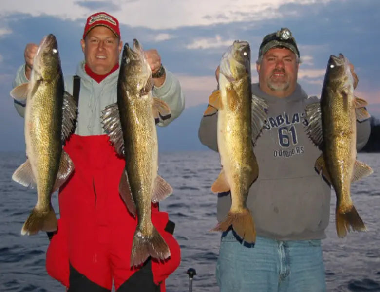 huge walleyes with green bay guide bret alexander